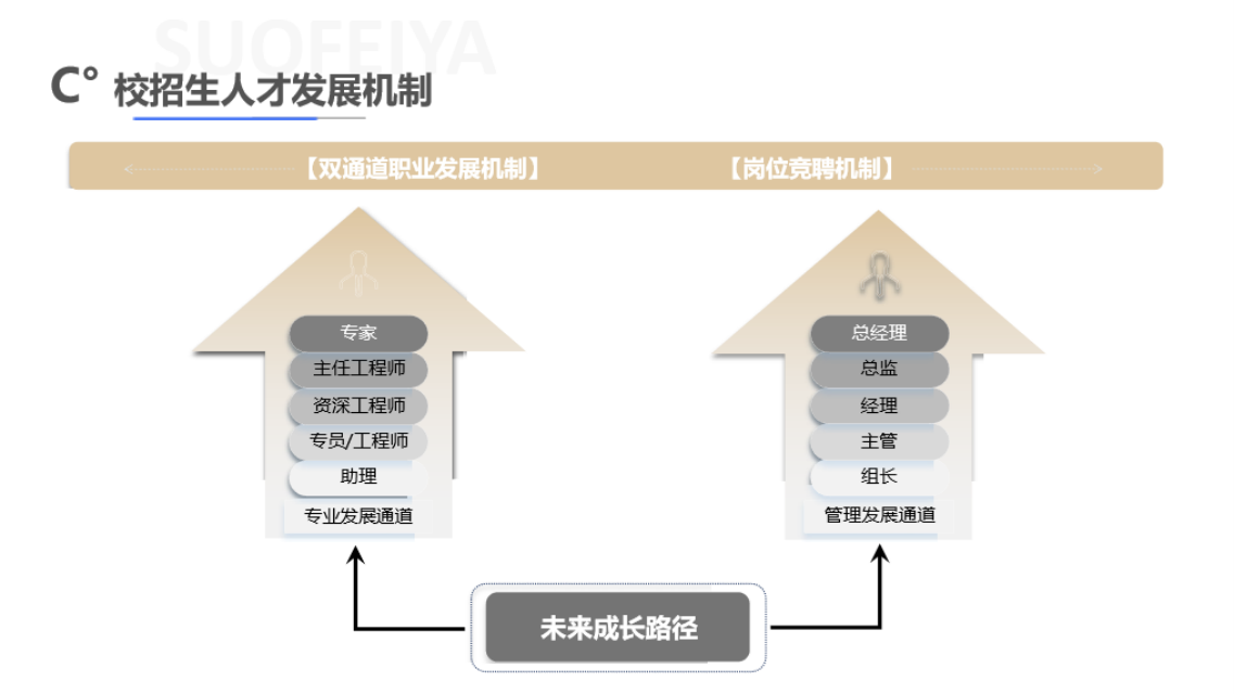 <p>C°校招生人才发展机制</p> <p>[双通道职业发展机制)</p> <p>[岗位竞聘机制)</p> <p>专家<br/>主任工程师<br/>资深工程师<br/>专员/工程师<br/>助理</p> <p>专业发展通道</p> <p>总经理</p> <p>总监</p> <p>经理</p> <p>主管</p> <p>组长</p> <p>管理发展通道</p> <p>未来成长路径</p>