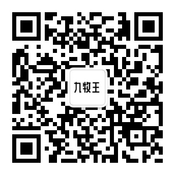 网申通道.jpg
