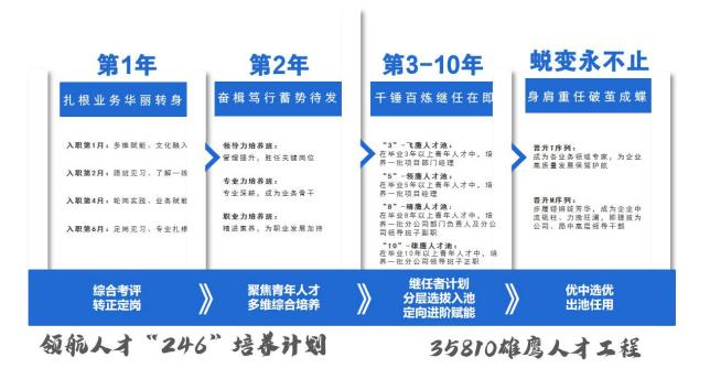 <table> <tr><td>第1年 第2年 第3-10年 蜕变永不止扎根业务华丽转身 奋楫笃行蓄势待发 千 锤百炼继任在即 身肩重任破茧成蝶入职業1月。多 關能,文化融入 顿导力培养班: "3"-飞唐人才源: 青升T序列:管湿提升,胜任关键网位 在毕业3年以上每年人才中。墳 成为备业务额城专求。 为企业养一批项目部门瞳理 基医量发展强驾护航入眼第2月。跟壁更马,了解一越 *5"-领责人才通。专重力培养班:在毕业5年以上青年人才中。壙专业深后。成为业备骨干 第一座项具经理入职第4月。轮萬高國,业高賦重 量开序列:“B”一精唐人才源:  督坍镜剪盛,成为企业中职士力培养班: 在毕业8年以上每年人才电,培 温视楼、力费任通,家提施为养限分公司整门负费人及分公 公司,图中高店畅导干部入职第8月。定網见复、专业扎模 精进重养,为职业发展加持司核导拍子面职1心”-峰自单业0年人工次人才中,第一座分公司医导班于正职’</td> </tr> <tr><td>维任者计划综合考评 聚焦青年人才转正定岗 多维综合培养 》 分层选拔入池 》 优中选优出池任用定向进阶赋能</td> </tr> <tr><td>领航人才“246”培养计划 35810雄鹰人才工程</td> </tr> </table>
