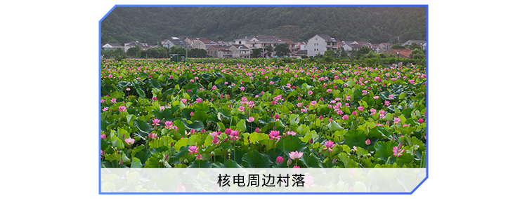 <p>核电周边村落</p>
