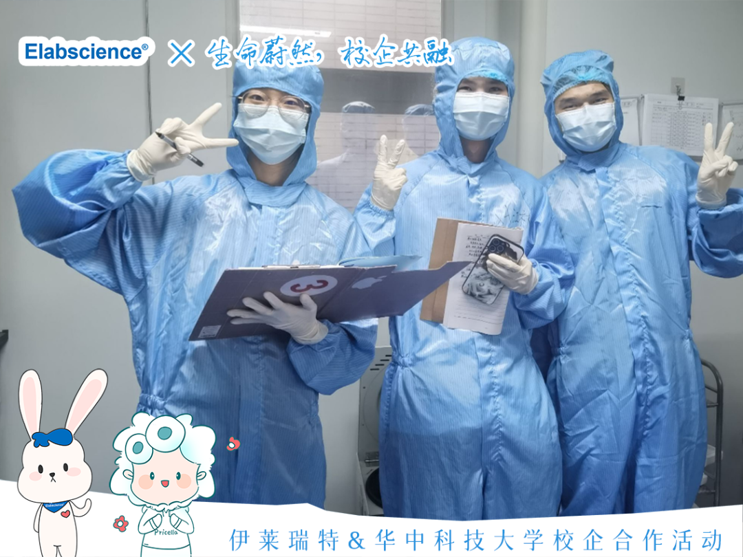 
<table>
<tr><td rowspan="2" colspan="2">Elabscience X生</td>
<td></td>
<td></td>
</tr>
<tr><td></td>
<td rowspan="2">o</td>
</tr>
<tr><td colspan="3">,</td>
</tr>
<tr><td colspan="3">.</td>
<td></td>
</tr>
<tr><td colspan="4">电. 三、11,</td>
</tr>
<tr><td>(下</td>
<td colspan="3">6(</td>
</tr>
</table>
