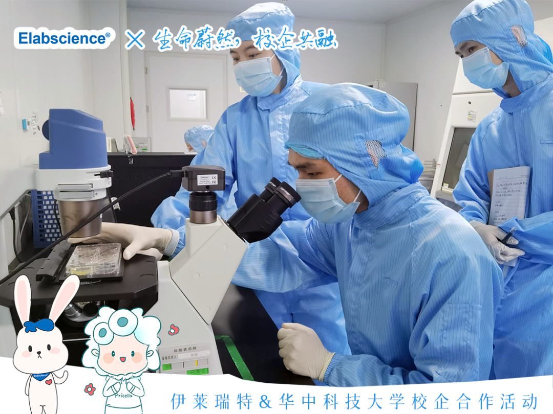<p>Eabscience x生命奇然标企共融</p>
<p>S</p>
<p>日商负责人</p>
<p>6(</p>
<p>(下伊莱瑞特&华中科技大学校企合作活动</p>
