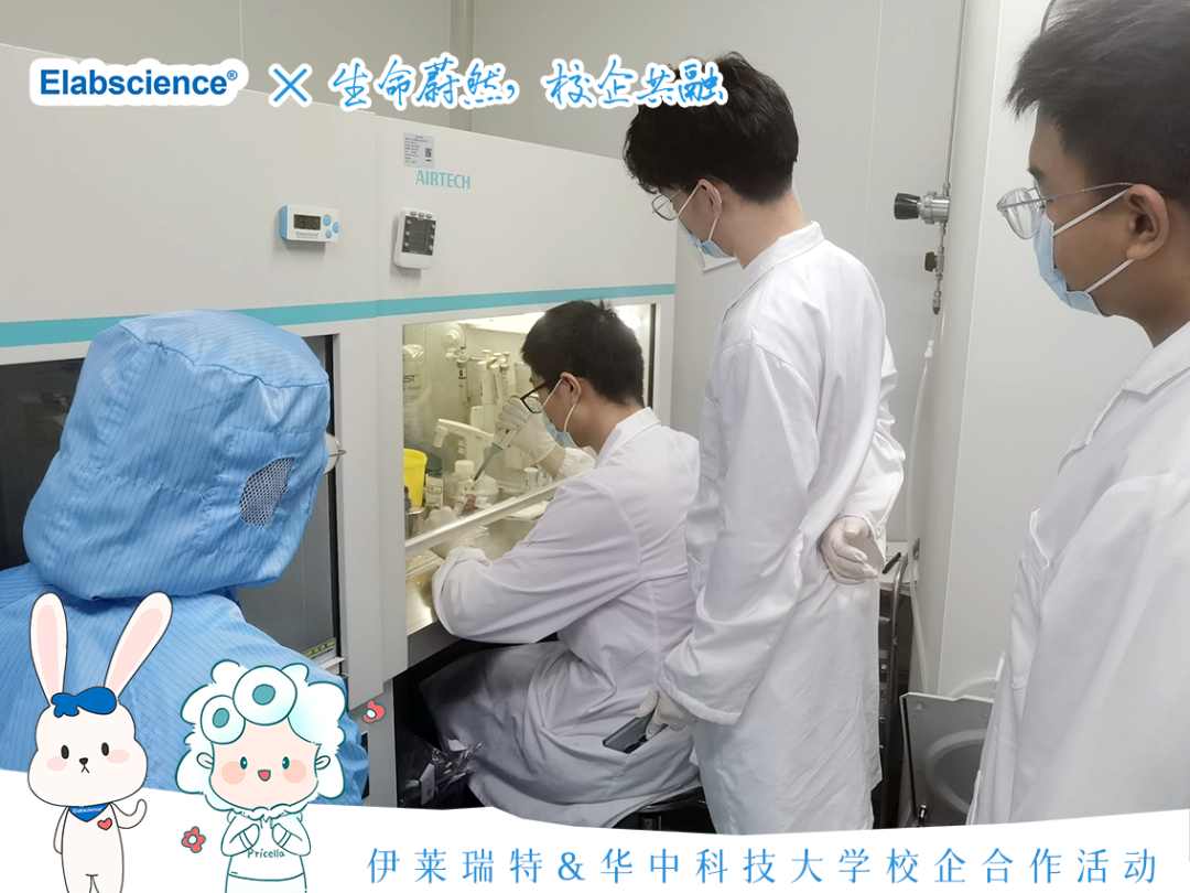 <p>Eabciene X生命茶然校企朵出</p>
<p>AIRTECH</p>
<p>日(</p>
<p>(下伊莱瑞特&华中科技大学校企合作活动</p>
