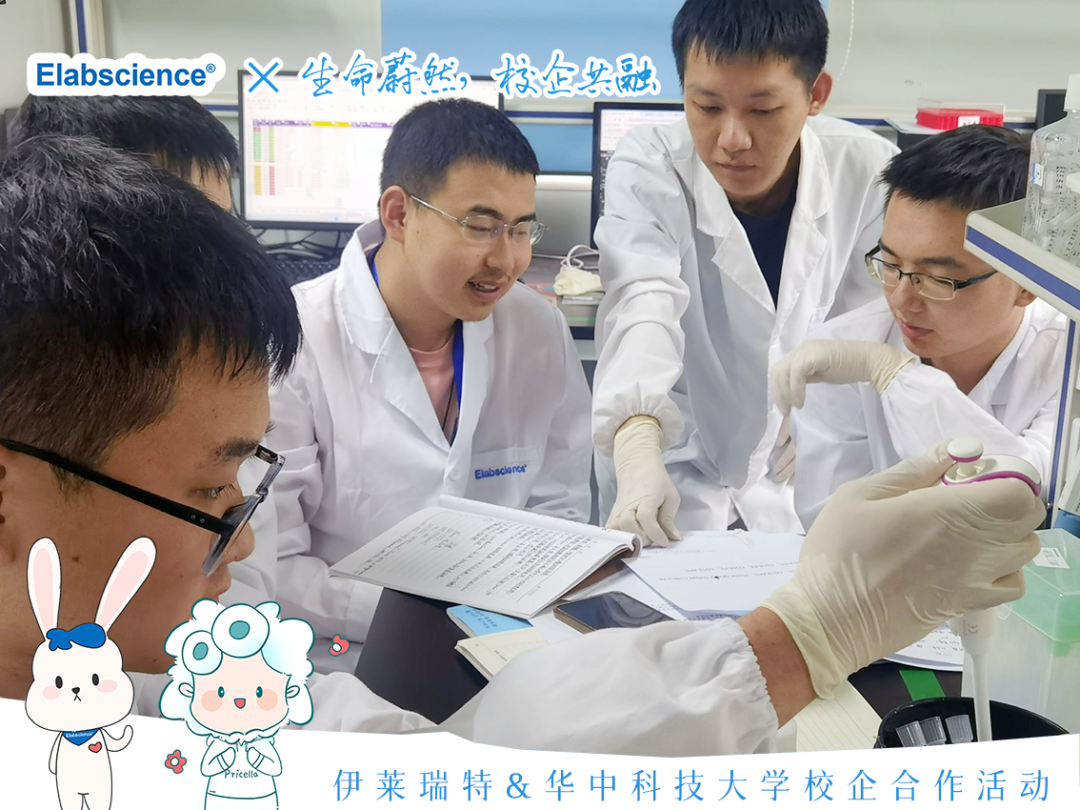 <p>Elabscience<br/>X-生命蔚然，校企然融</p>
<p>FLabacon</p>
<p>伊莱瑞特&华中科技大学校企合作活动</p>
