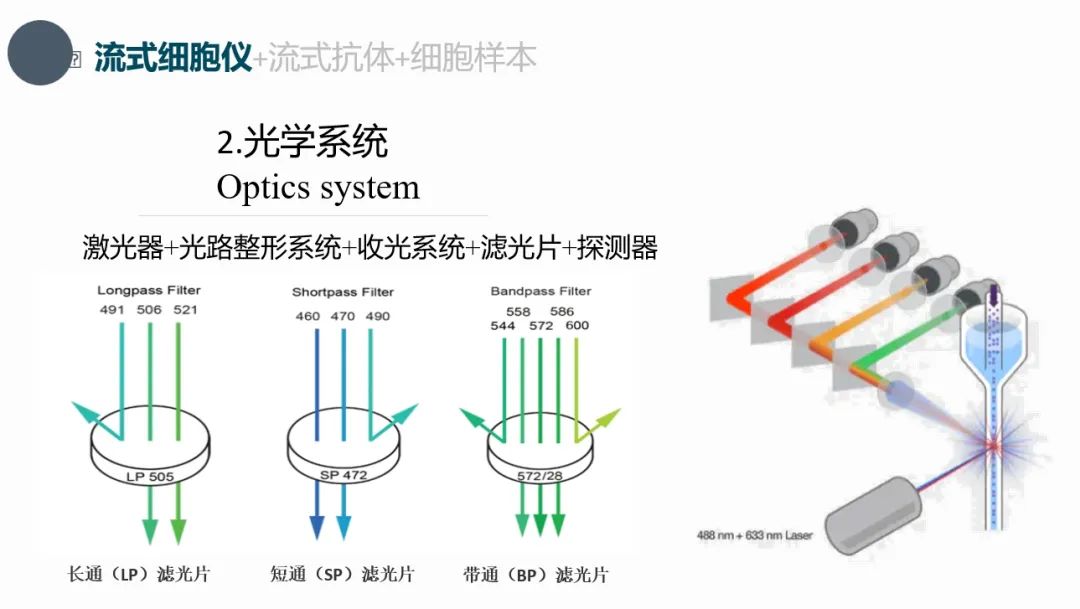 <p>流式细胞仪+流式抗体+细胞样本</p>
<p>2.光学系统<br/>Optics system</p>
<p>激光器+光路整形系统+收光系统+滤光片+探测器</p>
<p>Longpass Filter<br/>491 506 521</p>
<p>Shortpass Filter<br/>460 470 490</p>
<p>Bandpass Filter</p>
<p>558586<br/>544 572 600</p>
<p>LP 505</p>
<p>长通(LP)滤光片</p>
<p>短通(SP)滤光片</p>
<p>带通(BP)滤光片</p>
<p>488nm+633nm Lase</p>
