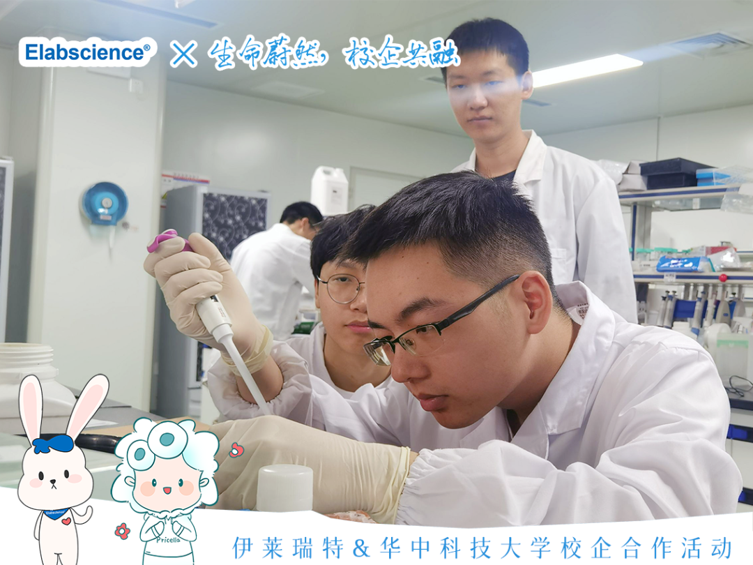 <p>Elabscience x生命辟然格企共器</p>
<p>8</p>
<p>日(</p>
<p>(下伊莱瑞特&华中科技大学校企合作活动</p>
