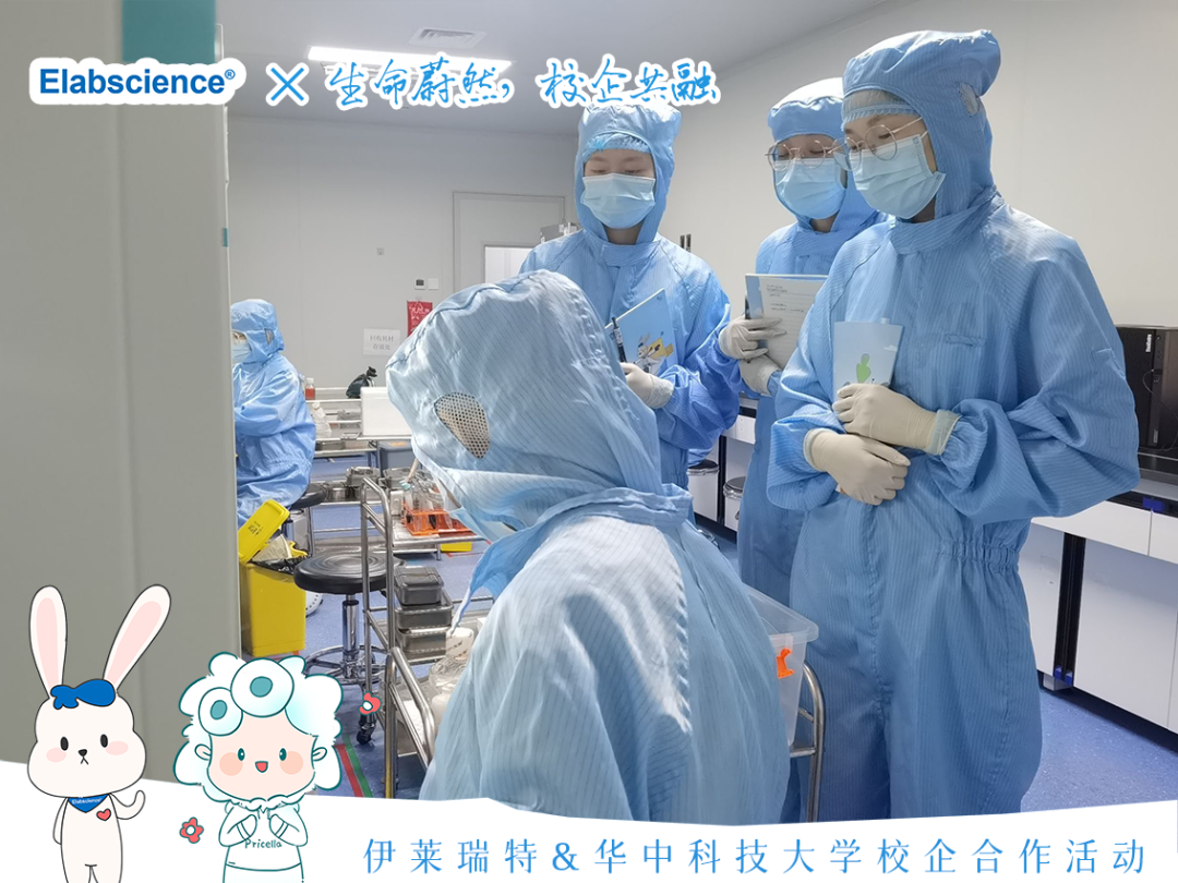 <p>Elabscience x生海蔚然格企共融</p>
<p>日(</p>
<p>(下伊莱瑞特&华中科技大学校企合作活动</p>

