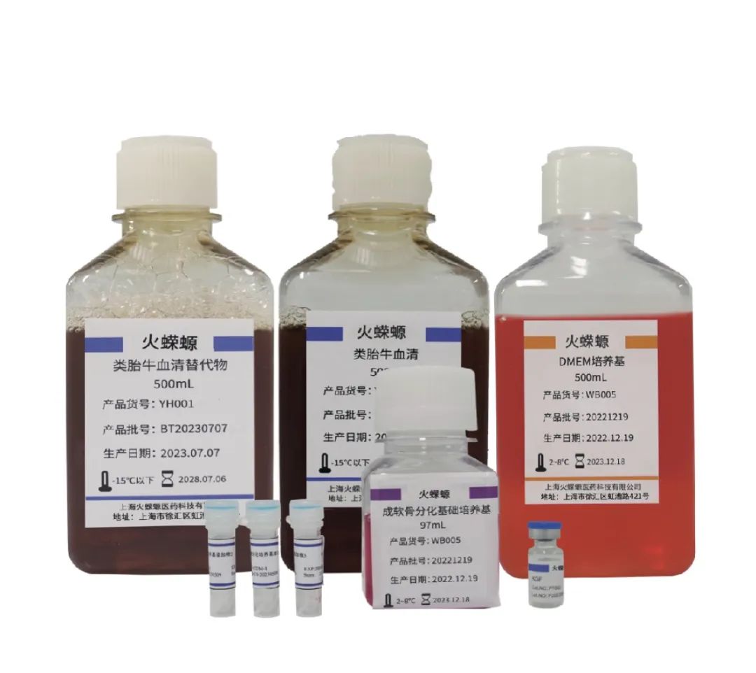 <p>火蝾螈</p>
<p>类胎牛血清替代物</p>
<p>500mL</p>
<p>产品货号:YH001</p>
<p>产品批号:BT20230707<br/>生产日期:2023.07.07<br/>-15℃以下2028.07.06</p>
<p>上海火绿源医药科技有<br/>地址:上海市徐汇区虹</p>
<p>火蝾螈<br/>类胎牛血清<br/>5r</p>
<p>产品货号:</p>
<p>产品批号:</p>
<p>生产日期:20</p>
<p>-15以下</p>
<p>上海火躲<br/>地址:上</p>
<p>火蠓螈</p>
<p>成软骨分化基础培养基</p>
<p>97mL</p>
<p>产品货号;WB005<br/>产品批号:20221219<br/>生产日期:2022.12.19<br/>2-8C 20231218</p>
<p>火蝾螈<br/>DMEM培养基<br/>500mL</p>
<p>产品货号:WB005<br/>产品批号:20221219<br/>生产日期:2022.12.19<br/>2-8C2023.1218</p>
<p>上海火蝶雅医药移技有限公司<br/>地址:上海市徐区虹渔路421号</p>
