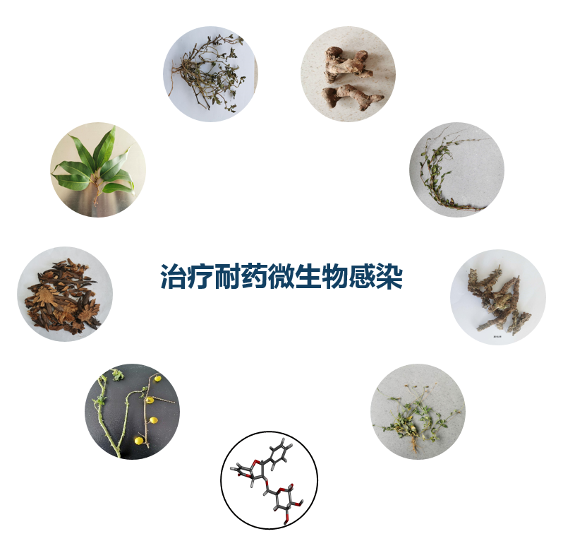 <p>治疗耐药微生物感染</p>
<p>女</p>

