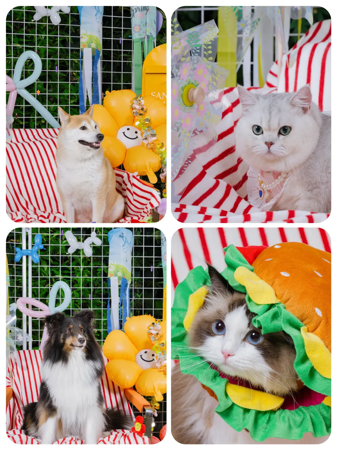 <p>hpilg</p>
<p>SAN</p>
<p>,</p>
<p>5</p>
<p>amm</p>
