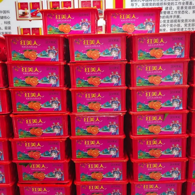 <p>新的工学业北江业从</p>
<p>导下,实现党的组织和党的工作全覆盖,</p>
<p>;建设,完善党组织</p>
<p>中国科有管理工作常态化、系</p>
<p>键核心红美人红美人F共农业I作的有序开展</p>
<p>科技A中A心党支部现有党员30余</p>
<p>C两个党小组,党支部</p>
<p>息、最紧制度,创新党建工作方</p>
<p>发展阶</p>
<p>红美人证界农业红美人江兴农业红美人江兴农业</p>
<p>和国商商大业务业业业包色内理有品</p>
<p>红美人江兴农业”红美人江兴农业红美人7兴农业</p>
<p>中业电业际银务热创重业电点经电活费</p>
<p>订兴农业</p>
<p>红美人过兴农业红美人近兴农明红美人</p>
<p> 商业大国育电话业A山业点电品热有员团</p>
<p>”红美人” 红美人\' 红美人江兴农业</p>
<p>国医业国电酒</p>
<p>\' 红美人红美人</p>
<p>红美人国产色电银汽中国电色汽中电汽</p>
<p>红美人红美人0头农业\' 红美人</p>
<p>恒国业业A保有酒业</p>
<p>红美人红美人</p>
<p>红美人</p>
<p>中面业电品银内人</p>