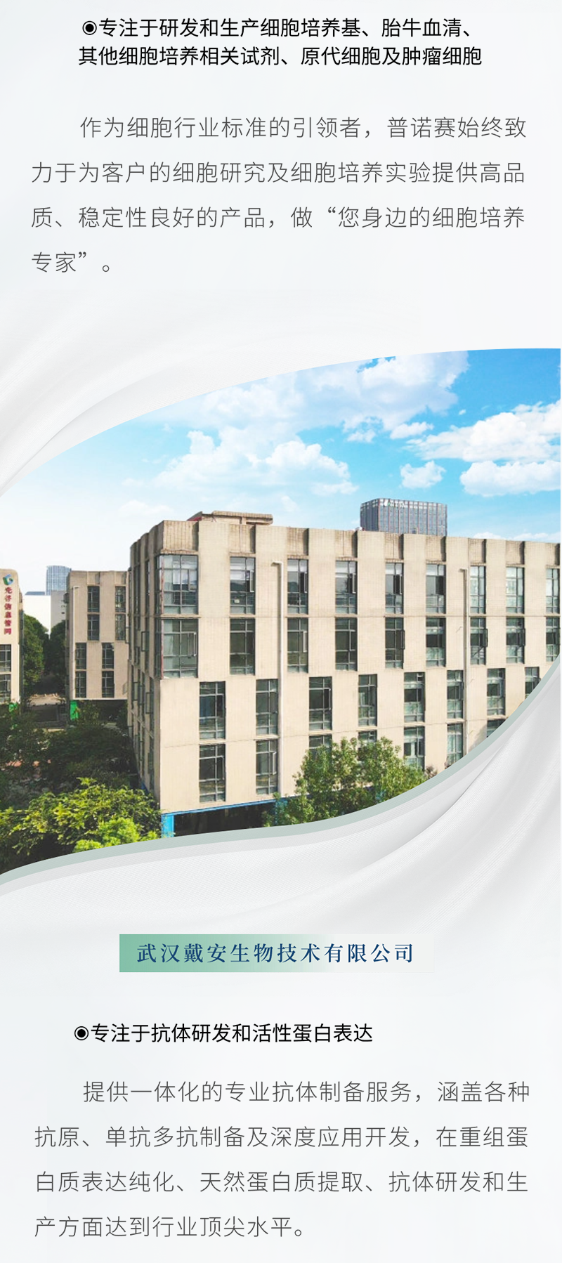 <p> 专注于研发和生产细胞培养基、胎牛血清、</p>
<p>其他细胞培养相关试剂、原代细胞及肿瘤细胞</p>
<p>作为细胞行业标准的引领者,普诺赛始终致</p>
<p>力于为客户的细胞研究及细胞培养实验提供高品</p>
<p>质、稳定性良好的产品,做“您身边的细胞培养</p>
<p>专家”。</p>
<p>武汉戴安生物技术有限公司</p>
<p> 专注于抗体研发和活性蛋白表达</p>
<p>提供一体化的专业抗体制备服务,涵盖各种</p>
<p>抗原、单抗多抗制备及深度应用开发,在重组蛋</p>
<p>白质表达纯化、天然蛋白质提取、抗体研发和生</p>
<p>产方面达到行业顶尖水平。</p>
