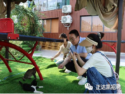 <p>正达凯招聘</p>

