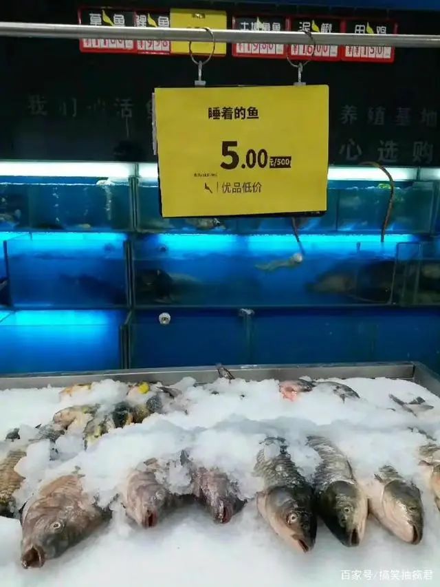 <p>在</p>
<p> </p>
<p>思购</p>
<p>OOU</p>
<p>我]心活</p>
<p>睡着的鱼<br/>5.00</p>
<p>上优品低价</p>
<p>养殖基地<br/>心选购</p>
<p>百家号/摘笑抽痫君</p>
