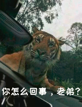<p>你怎么回事,老弟?</p>
