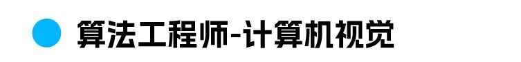 个算法工程师-计算机视觉
