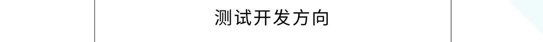 测试开发方向