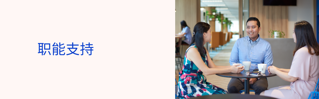 <p>职能支持</p>
