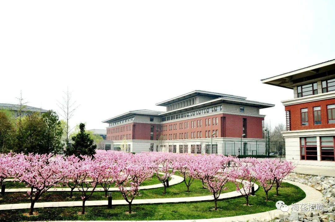 <p>I</p>
<p>UCC</p>
<p>e梅花招聘</p>
