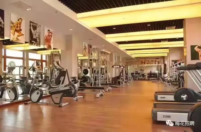 <p>ENE</p>
<p>4900</p>
<p>梅花招聘</p>
