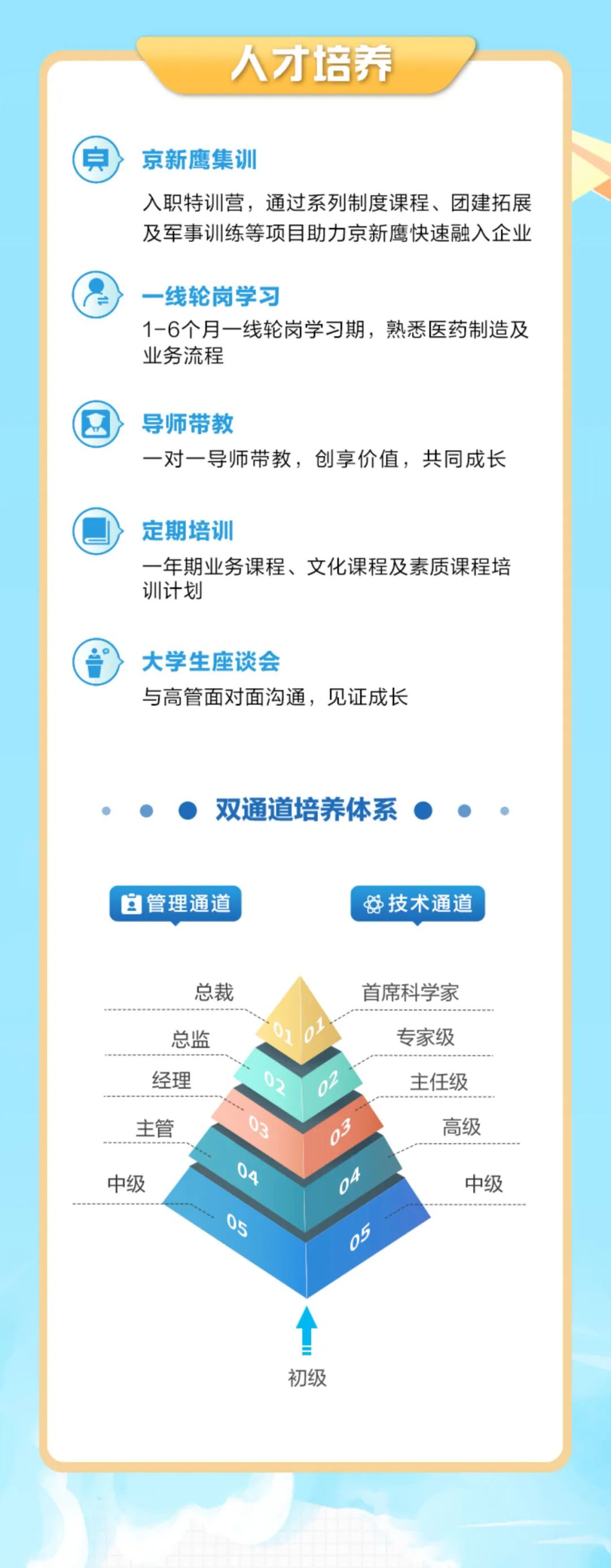 <p>人才培养</p>
<p>京新鹰集训</p>
<p>入职特训营，通过系列制度课程、团建拓展<br/>及军事训练等项目助力京新鹰快速融入企业</p>
<p>-线轮岗学习</p>
<p>1-6个月一线轮岗学习期，熟悉医药制造及<br/>业务流程</p>
<p>导师带教</p>
<p>一对一导师带教，创享价值，共同成长</p>
<p>定期培训</p>
<p>一年期业务课程、文化课程及素质课程培<br/>训计划</p>
<p>大学生座谈会</p>
<p>与高管面对面沟通，见证成长</p>
<p>双通道培养体系</p>
<p>管理通道</p>
<p>技术通道</p>
<p>总裁</p>
<p>总监</p>
<p>经理</p>
<p>主管</p>
<p>G7</p>
<p>03</p>
<p>中级</p>
<p>首席科学家</p>
<p>专家级</p>
<p> </p>
<p>主任级</p>
<p>03</p>
<p>高级</p>
<p>中级</p>
<p>初级</p>
