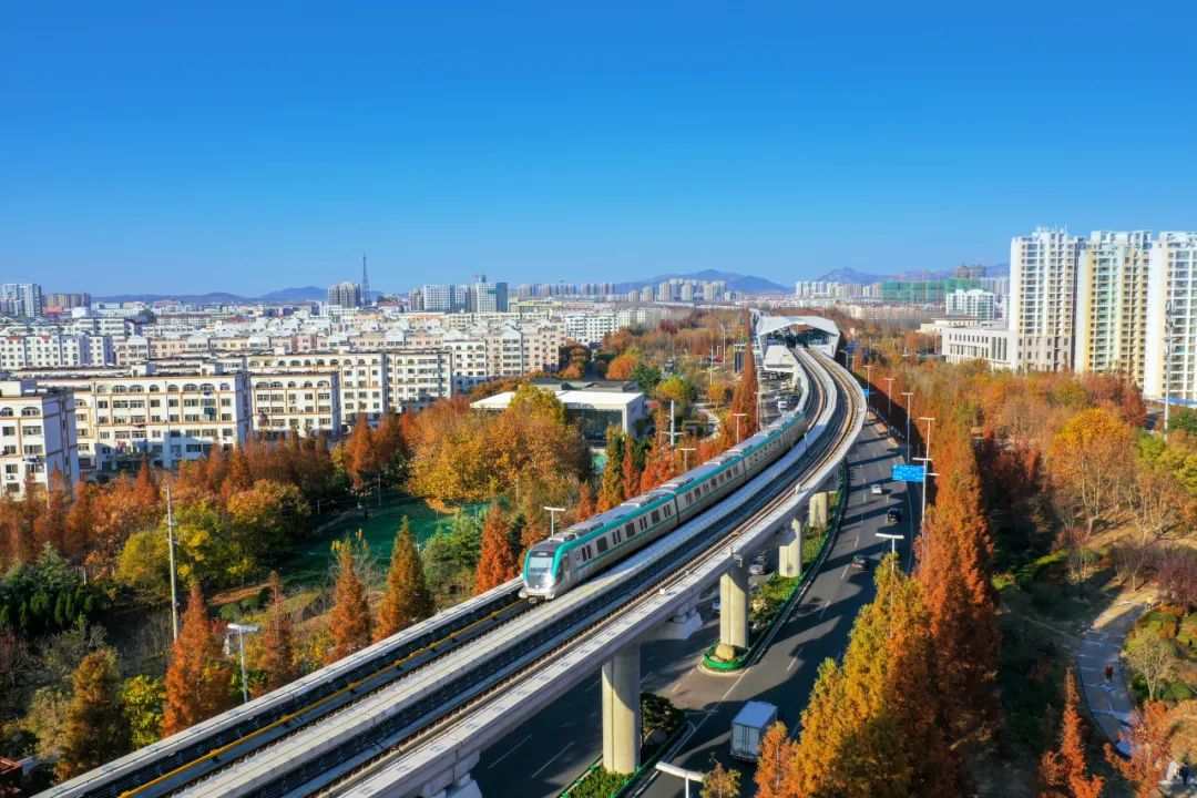 <p>菲自在酒服</p>
