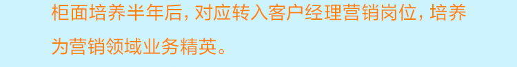 <p>柜面培养半年后，对应转入客户经理营销岗位，培养<br/>为营销领域业务精英。</p>
